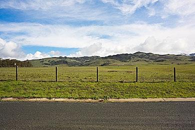 Vtuber凑阿库娅恋爱游戏《Aquarium.》将登陆PC