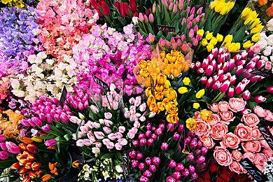 冲冲冲！《博德之门3》Steam版正式解锁！