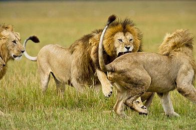 叙事解谜游戏《落日山丘》推出试玩Demo 2023年中发售